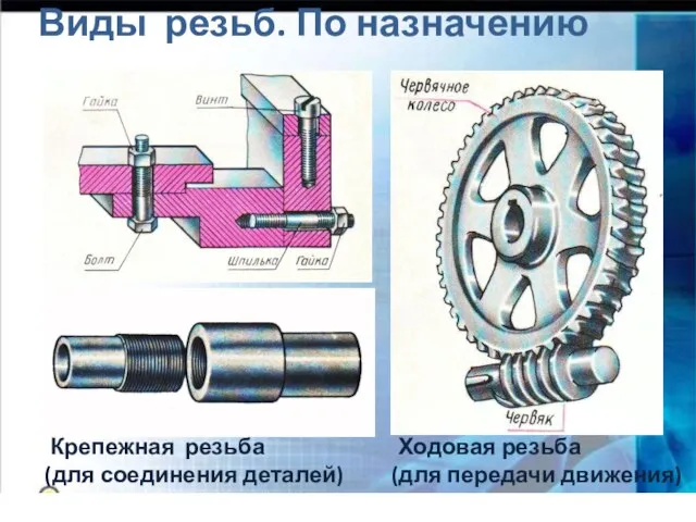 Виды резьб. По назначению Крепежная резьба (для соединения деталей) Ходовая резьба (для передачи движения)