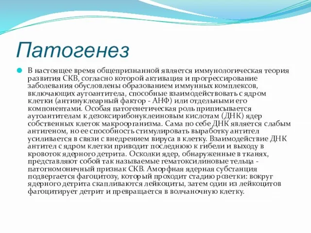 Патогенез В настоящее время общепризнанной является иммунологическая теория развития СКВ, согласно которой