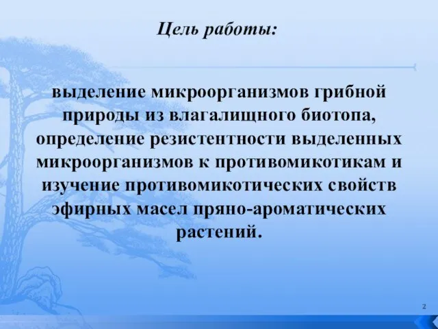 Цель работы: выделение микроорганизмов грибной природы из влагалищного биотопа, определение резистентности выделенных