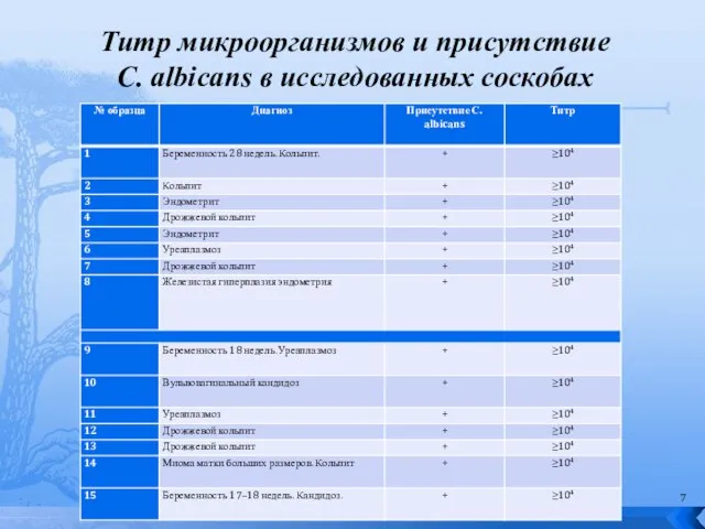 Титр микроорганизмов и присутствие C. albicans в исследованных соскобах