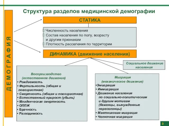 Структура разделов медицинской демографии 3 3 Д Е М О Г Р