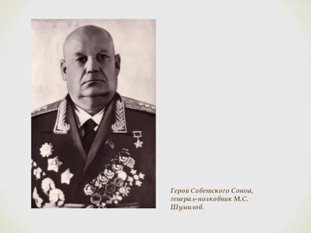 Герой Советского Союза, генерал-полковник М.С. Шумилов.