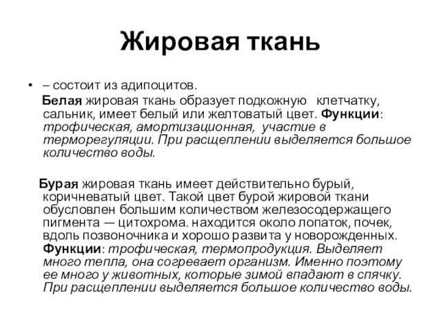 Жировая ткань – состоит из адипоцитов. Белая жировая ткань образует подкожную клетчатку,