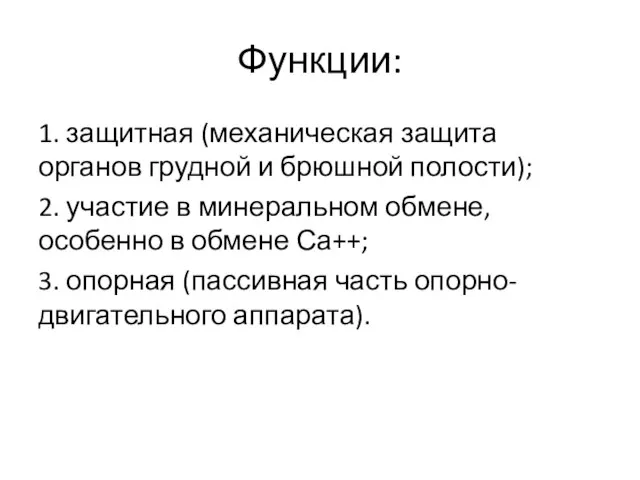 Функции: 1. защитная (механическая защита органов грудной и брюшной полости); 2. участие