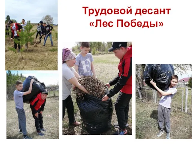 Трудовой десант «Лес Победы»