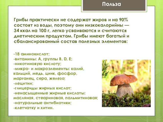 Грибы практически не содержат жиров и на 90% состоят из воды, поэтому