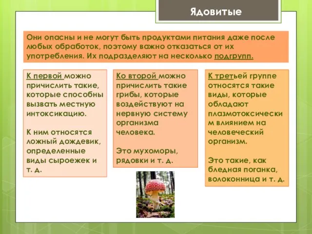 Они опасны и не могут быть продуктами питания даже после любых обработок,