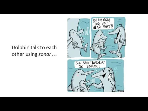 Dolphin talk to each other using sonar…