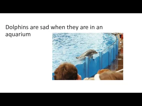 Dolphins are sad when they are in an aquarium