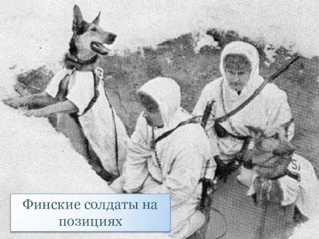 Финские солдаты на позициях