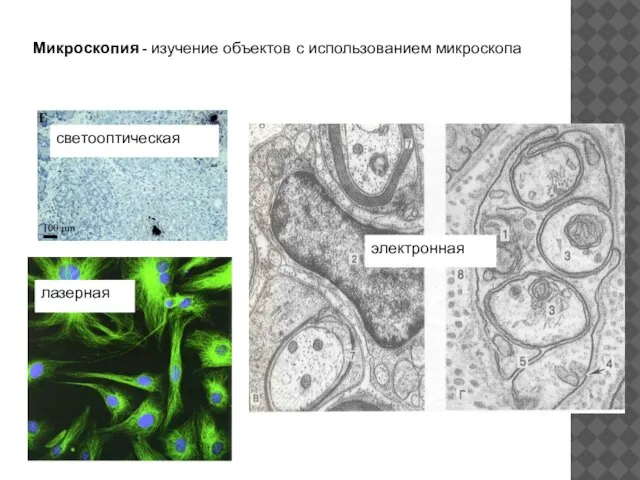 Микроскопия - изучение объектов с использованием микроскопа лазерная светооптическая электронная