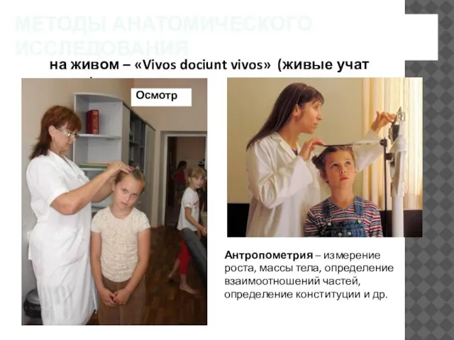 МЕТОДЫ АНАТОМИЧЕСКОГО ИССЛЕДОВАНИЯ на живом – «Vivos dociunt vivos» (живые учат живых)