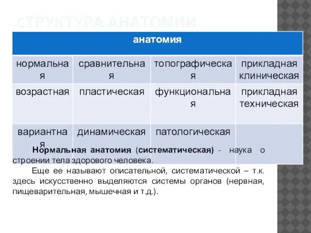 CТРУКТУРА АНАТОМИИ Нормальная анатомия (систематическая) - наука о строении тела здорового человека.