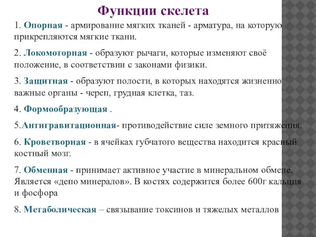 Функции скелета 1. Опорная - армирование мягких тканей - арматура, на которую