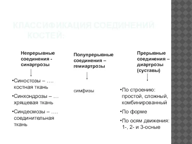 КЛАССИФИКАЦИЯ СОЕДИНЕНИЙ КОСТЕЙ: Непрерывные соединения - синартрозы Прерывные соединения – диартрозы (суставы)