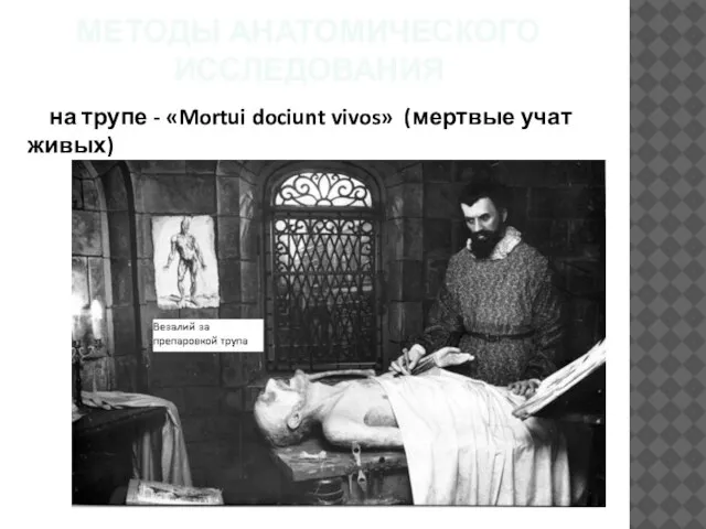 МЕТОДЫ АНАТОМИЧЕСКОГО ИССЛЕДОВАНИЯ на трупе - «Mortui dociunt vivos» (мертвые учат живых)