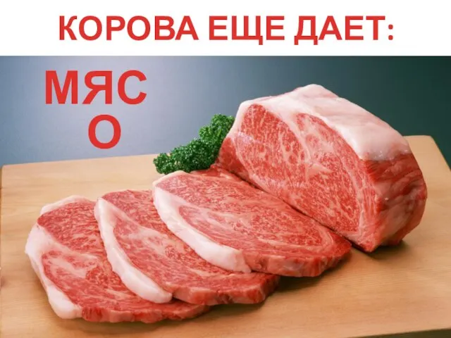 КОРОВА ЕЩЕ ДАЕТ: МЯСО