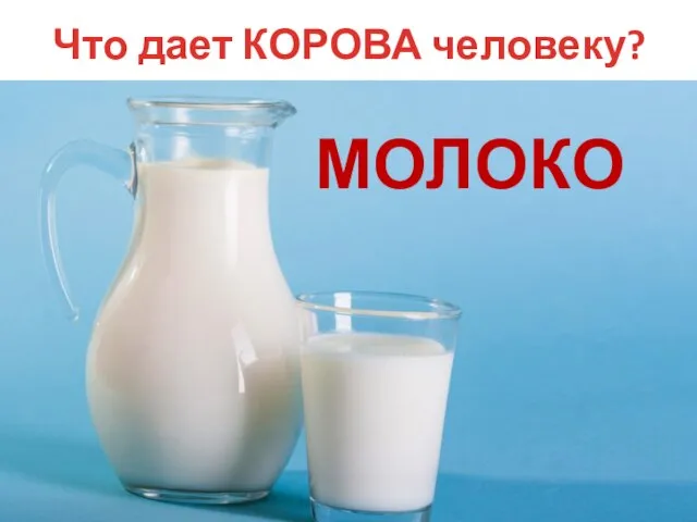 Что дает КОРОВА человеку? МОЛОКО