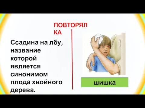 ПОВТОРЯЛКА Ссадина на лбу, название которой является синонимом плода хвойного дерева. шишка