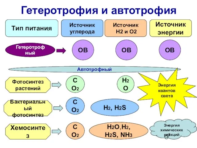 Гетеротрофия и автотрофия Тип питания Источник углерода Источник Н2 и О2 Источник