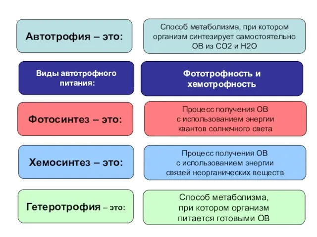 Автотрофия – это: Способ метаболизма, при котором организм синтезирует самостоятельно ОВ из