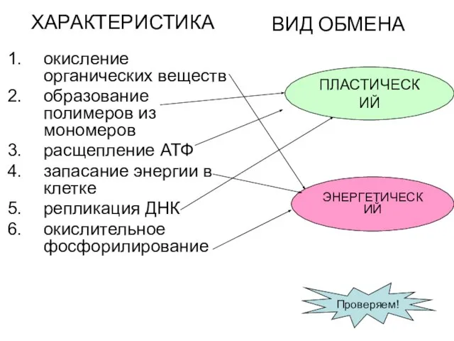 ХАРАКТЕРИСТИКА окисление органических веществ образование полимеров из мономеров расщепление АТФ запасание энергии