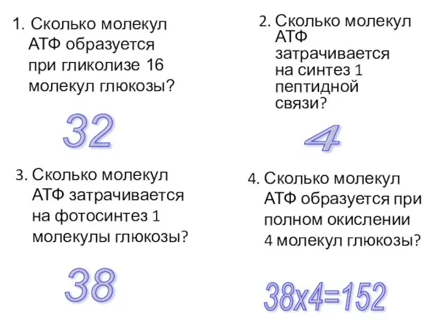 1. Сколько молекул АТФ образуется при гликолизе 16 молекул глюкозы? 2. Сколько