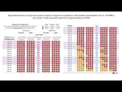 Европейская шкала для расчёта риска смерти от сердечно-сосудистого заболевания в ближайшие 10