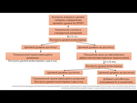 Контроль исходного уровня липидов, определение целевого уровня Хс ЛПНП Назначение статина в