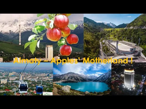 Almaty – Apples’ Motherland !