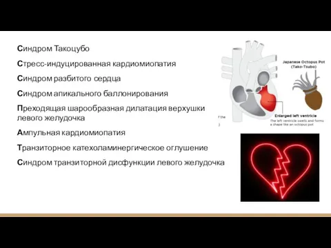 Синдром Такоцубо Стресс-индуцированная кардиомиопатия Синдром разбитого сердца Синдром апикального баллонирования Преходящая шарообразная