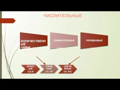 ЧИСЛИТЕЛЬНЫЕ КОЛИЧЕСТВЕННЫЕ ЦЕЛЫЕ ДРОБНЫЕ СОБИРАТЕЛЬНЫЕ ПОРЯДКОВЫЕ ПРОСТЫЕ (2,3,4) СЛОЖНЫЕ (11, 50) СОСТАВНЫЕ