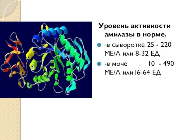 Уровень активности амилазы в норме. -в сыворотке 25 - 220 МЕ/Л или