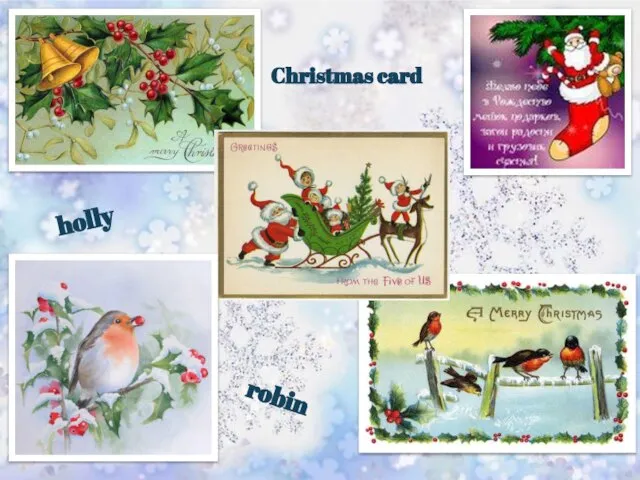 Christmas card holly robin