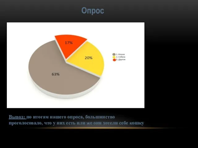 Опрос Вывод: по итогам нашего опроса, большинство проголосовало, что у них есть