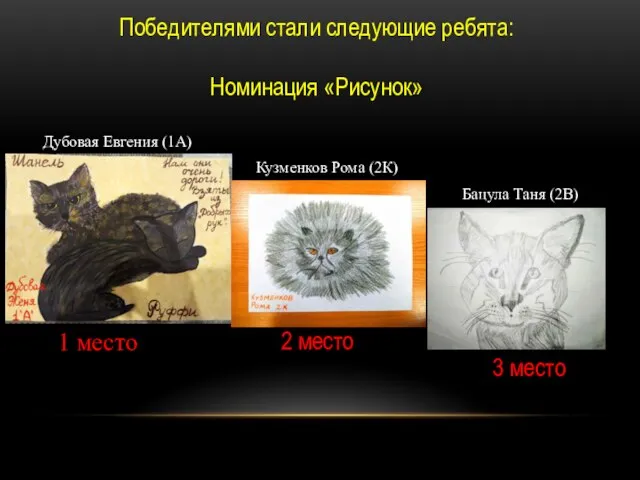 Победителями стали следующие ребята: Номинация «Рисунок» Бацула Таня (2В) Кузменков Рома (2К)