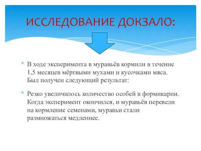 В ходе эксперимента в муравьёв кормили в течение 1,5 месяцев мёртвыми мухами