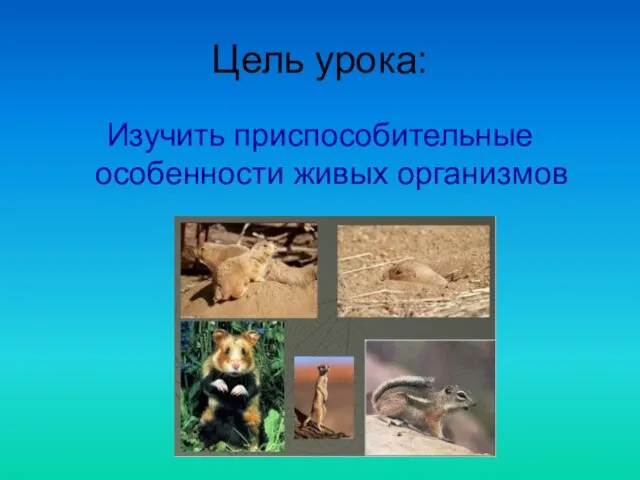 Пигалова Е.В. Цель урока: Изучить приспособительные особенности живых организмов