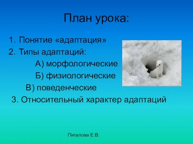 Пигалова Е.В. План урока: Понятие «адаптация» Типы адаптаций: А) морфологические Б) физиологические