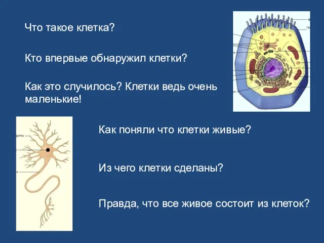 Кто впервые обнаружил клетки? Что такое клетка? Как это случилось? Клетки ведь