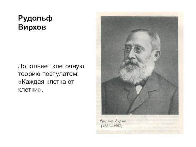 Рудольф Вирхов Дополняет клеточную теорию постулатом: «Каждая клетка от клетки».