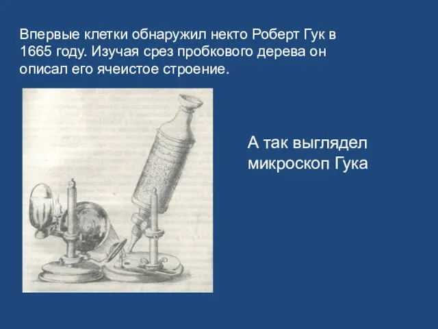 Впервые клетки обнаружил некто Роберт Гук в 1665 году. Изучая срез пробкового