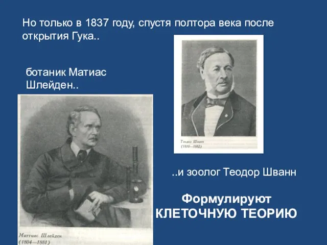 Но только в 1837 году, спустя полтора века после открытия Гука.. Формулируют КЛЕТОЧНУЮ ТЕОРИЮ