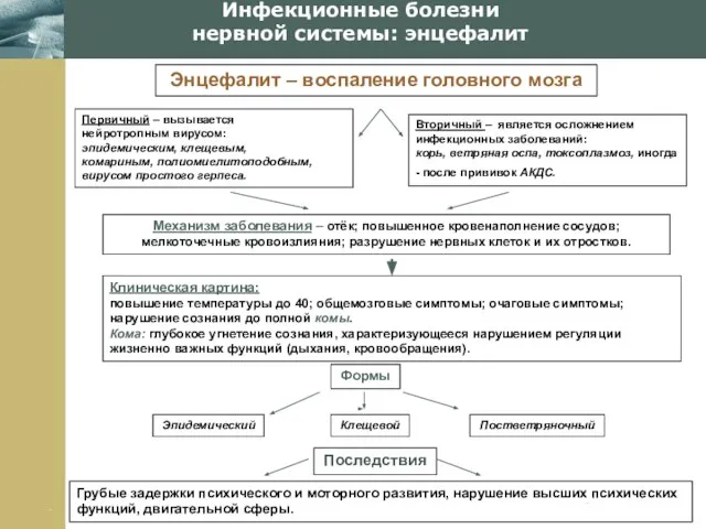 Company Logo Инфекционные болезни нервной системы: энцефалит Энцефалит – воспаление головного мозга