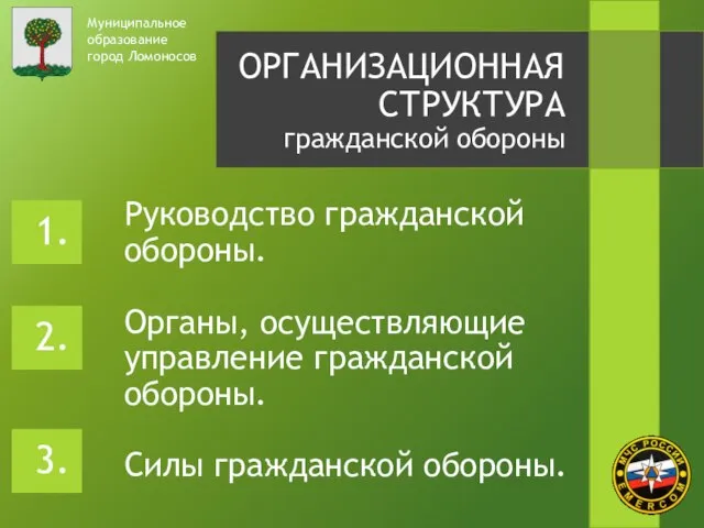 Муниципальное образование город Ломоносов ОРГАНИЗАЦИОННАЯ СТРУКТУРА гражданской обороны Руководство гражданской обороны. Органы,