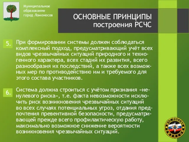 Муниципальное образование город Ломоносов ОСНОВНЫЕ ПРИНЦИПЫ построения РСЧС При формировании системы должен