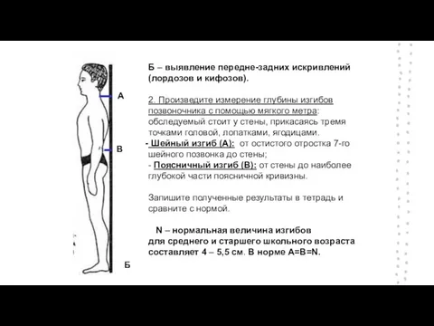 Б – выявление передне-задних искривлений (лордозов и кифозов). 2. Произведите измерение глубины