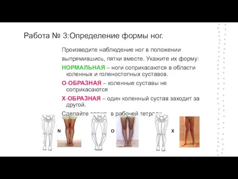 Работа № 3:Определение формы ног. Произведите наблюдение ног в положении выпрямившись, пятки