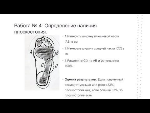 Работа № 4: Определение наличия плоскостопия. 1.Измерить ширину плюсневой части (АВ) в