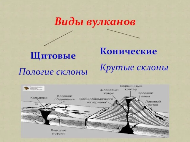 Виды вулканов Конические Крутые склоны Щитовые Пологие склоны